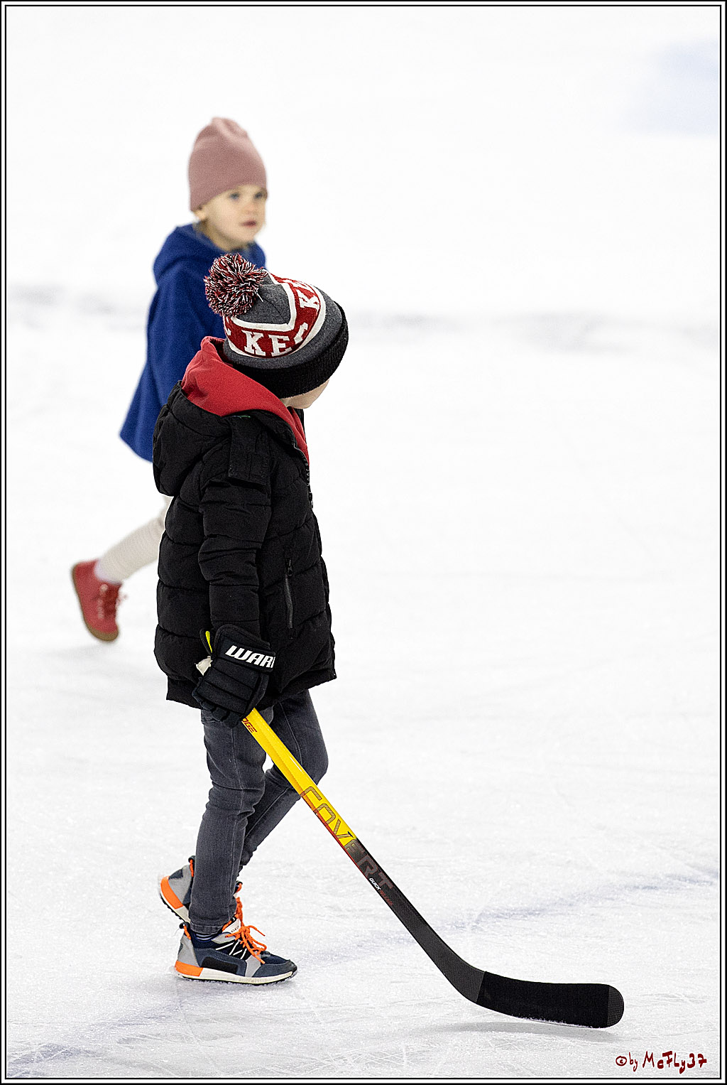 PENNY DEL;  Koelner Haie - Nuernberg Ice Tigers; Koeln, 03.12.2021